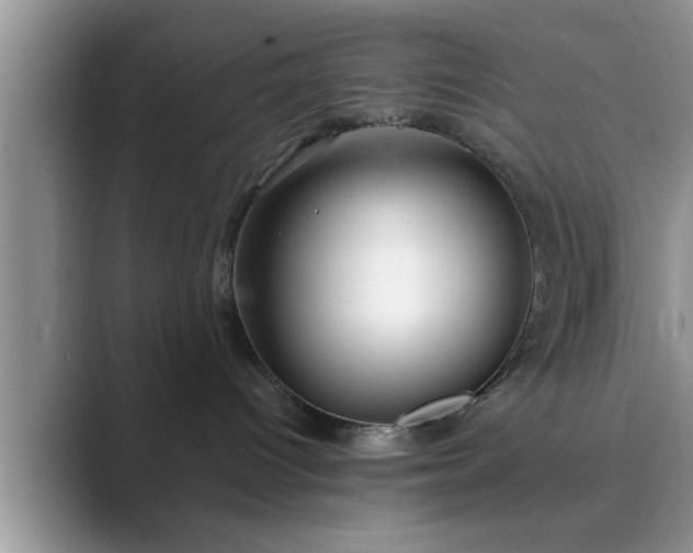 X0000089870096200707051159