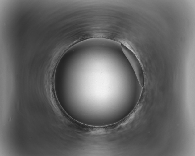 X0000089870097200707051159