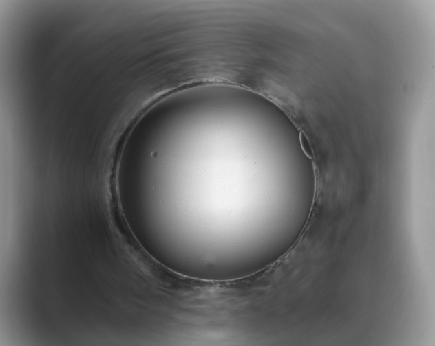 X0000089870098200707051159