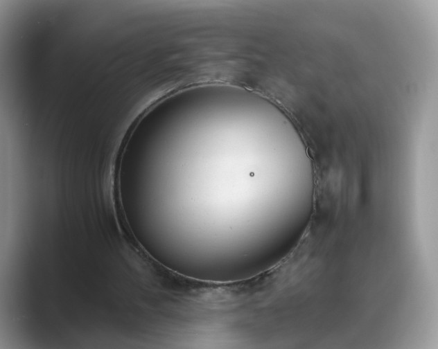 X0000089870100200707051159