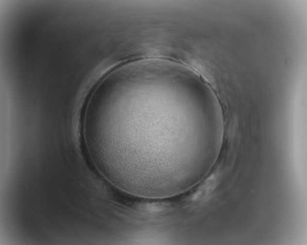 X0000089870103200707051159