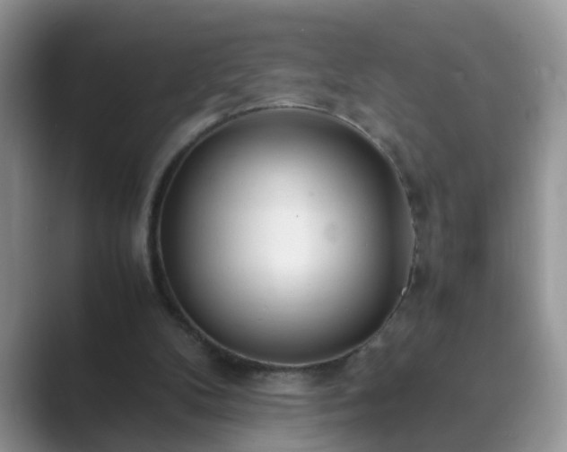 X0000089870104200707051159