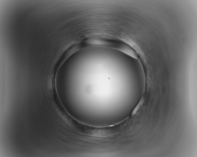 X0000089870105200707051159