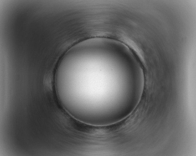 X0000089870107200707051159