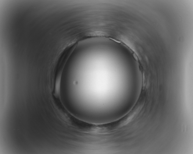 X0000089870109200707051159