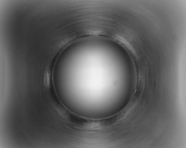 X0000089870110200707051159