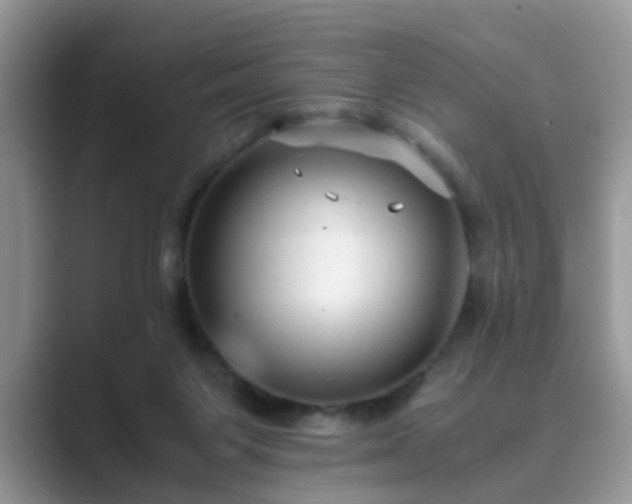 X0000089870119200707051159