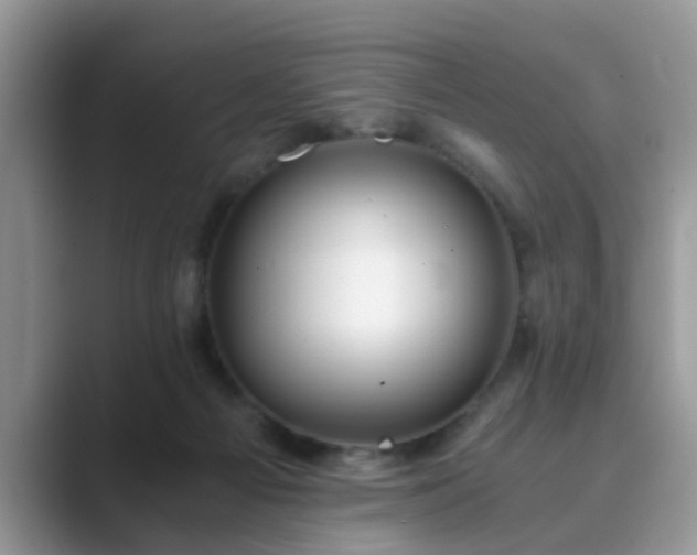 X0000089870121200707051159