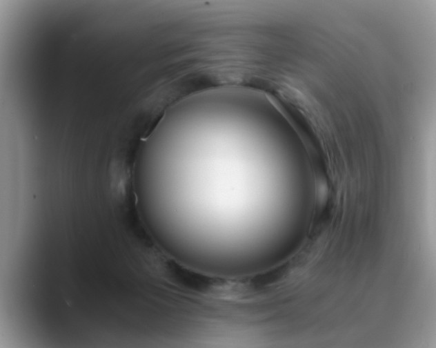 X0000089870125200707051159