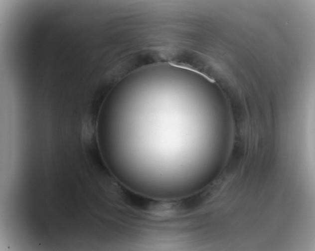 X0000089870129200707051159