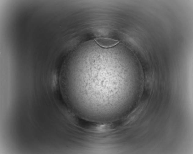 X0000089870130200707051159