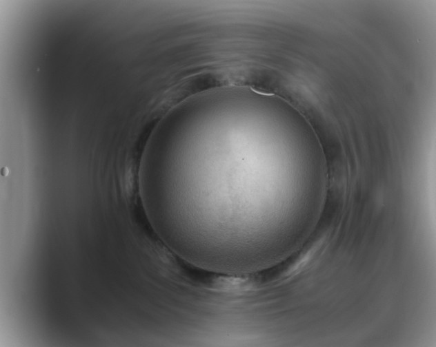 X0000089870139200707051158