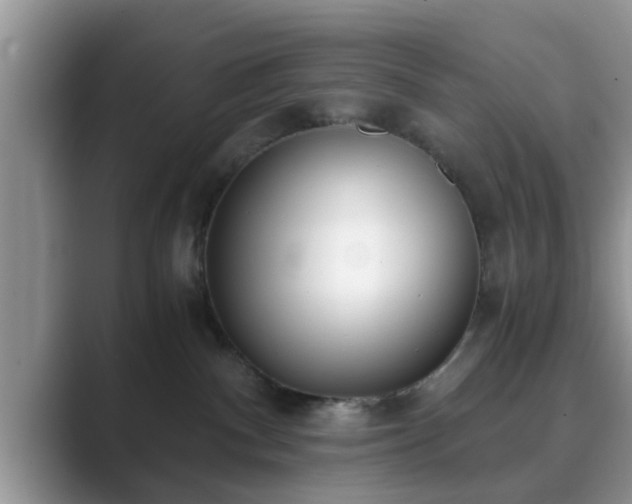 X0000089870140200707051158