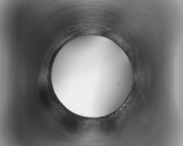 X0000089870146200707051158