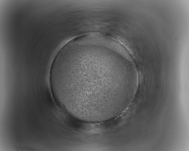 X0000089870147200707051158
