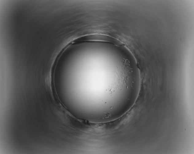 X0000089870148200707051158