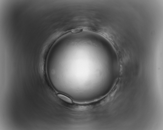 X0000089870149200707051158