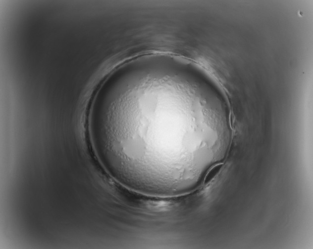 X0000089870151200707051158