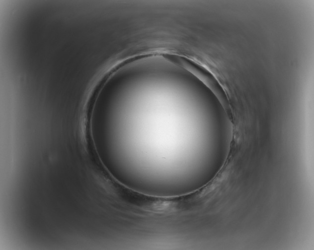 X0000089870152200707051158