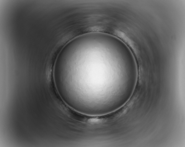 X0000089870153200707051158