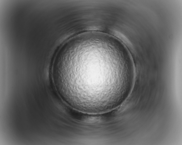 X0000089870155200707051158