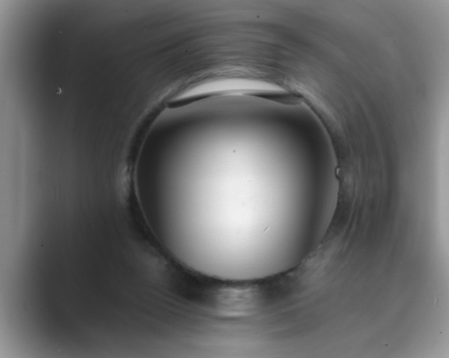 X0000089870160200707051158