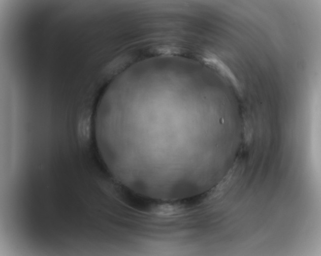 X0000089870163200707051158
