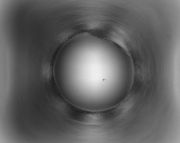X0000089870164200707051158