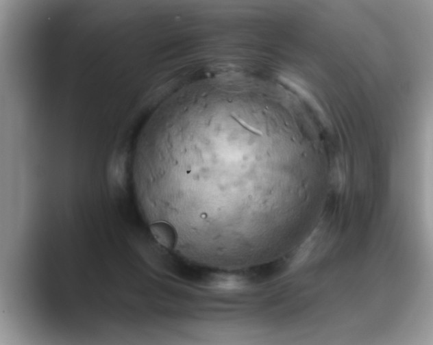 X0000089870167200707051158