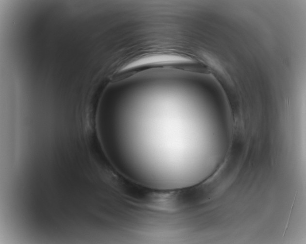 X0000089870170200707051158