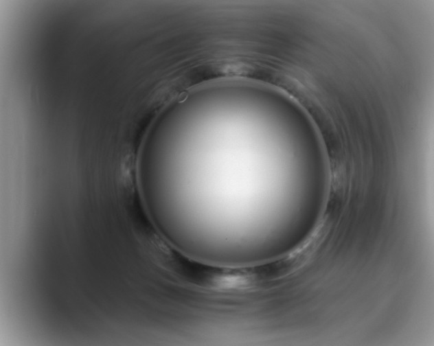 X0000089870175200707051158