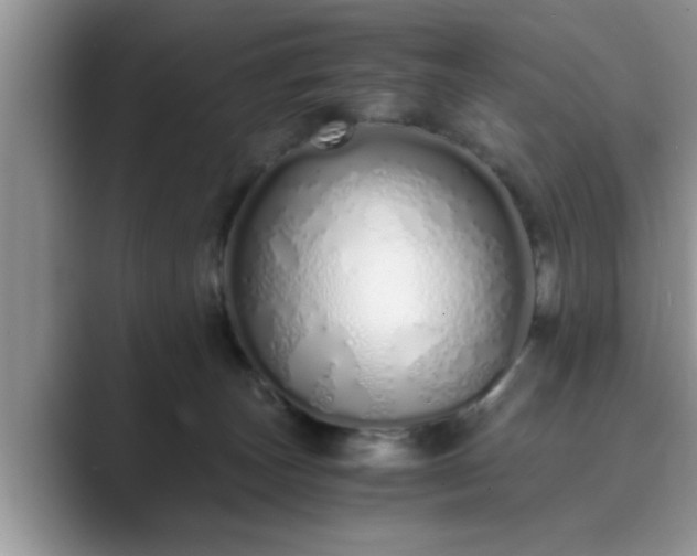 X0000089870179200707051158