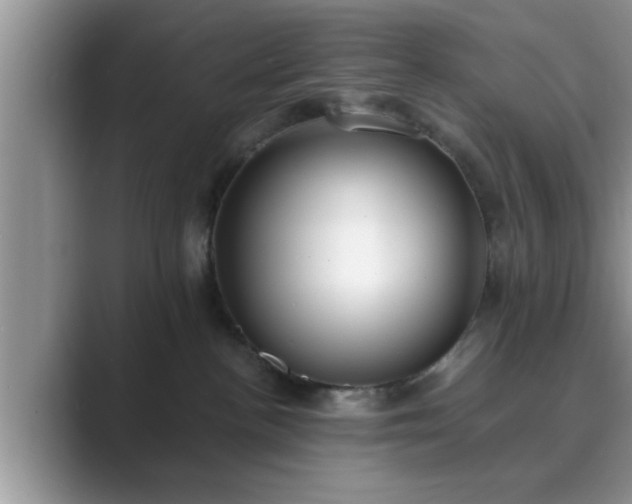 X0000089870188200707051158