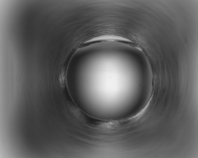 X0000089870190200707051158