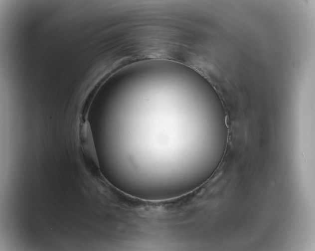 X0000089870194200707051158