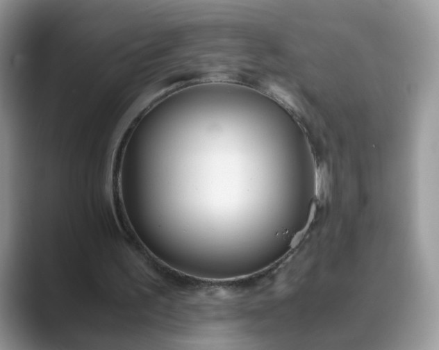 X0000089870195200707051158