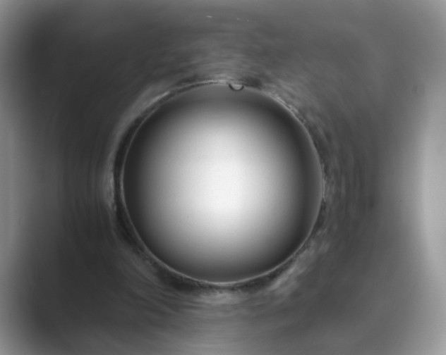 X0000089870198200707051158