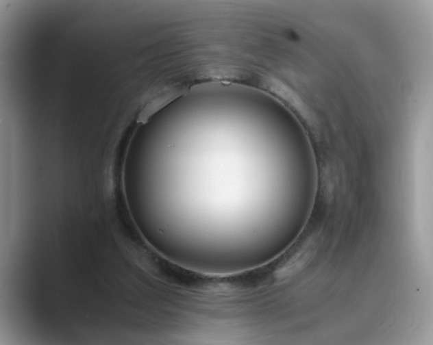 X0000089870203200707051158
