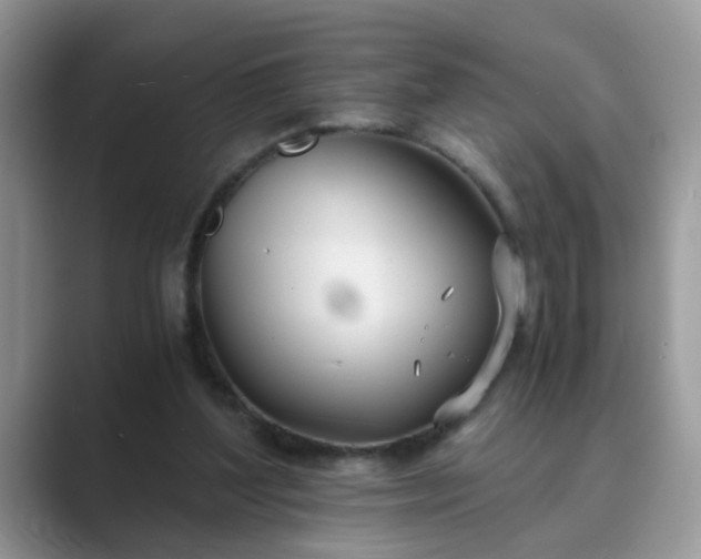 X0000089870204200707051158