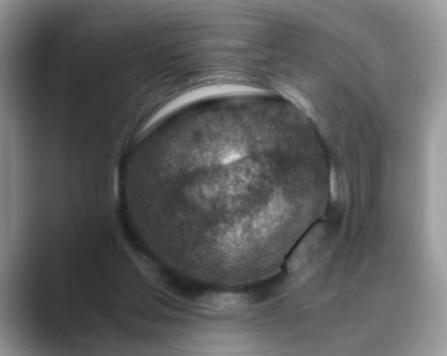 X0000089870205200707051158