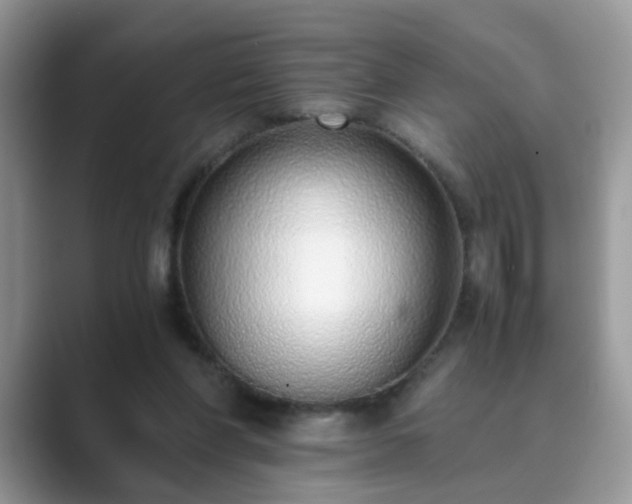 X0000089870206200707051158