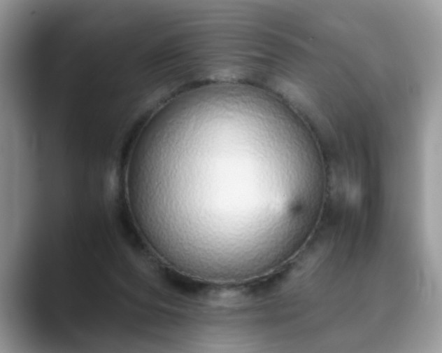 X0000089870208200707051158