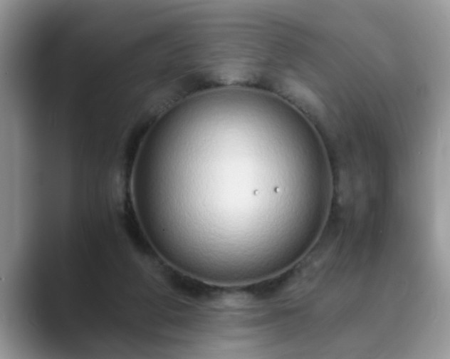 X0000089870210200707051158