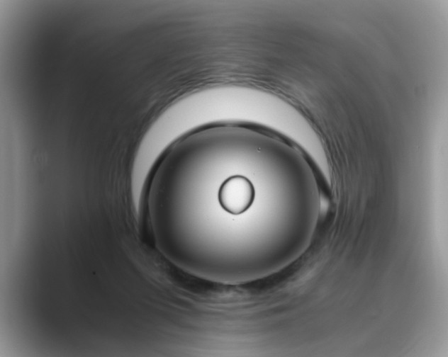 X0000089870215200707051158