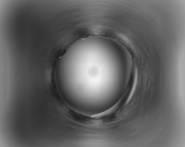X0000089870217200707051157