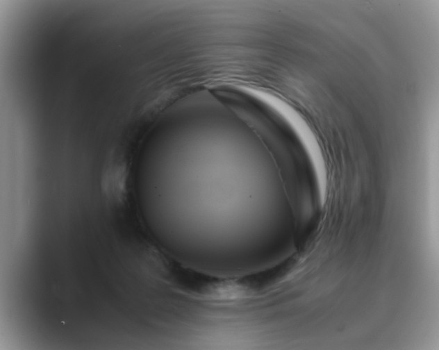 X0000089870219200707051157