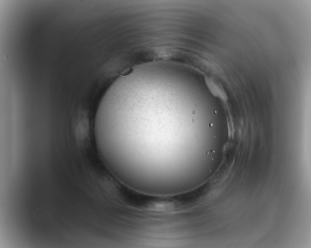 X0000089870220200707051157