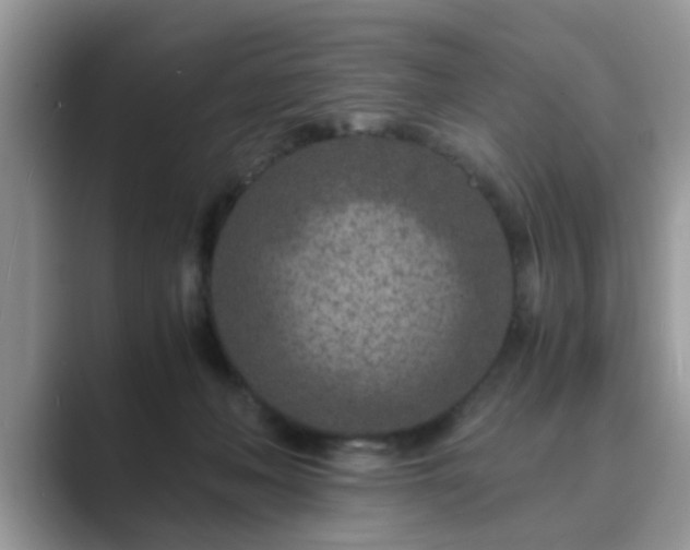 X0000089870222200707051157