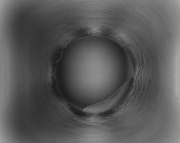 X0000089870223200707051157