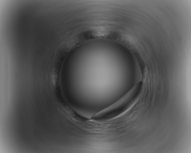 X0000089870227200707051157
